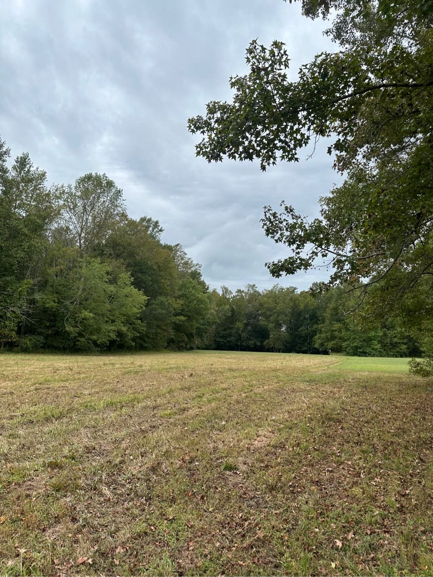 Cleared field meeting the wood line on a rural property near Williamsburg, Virginia